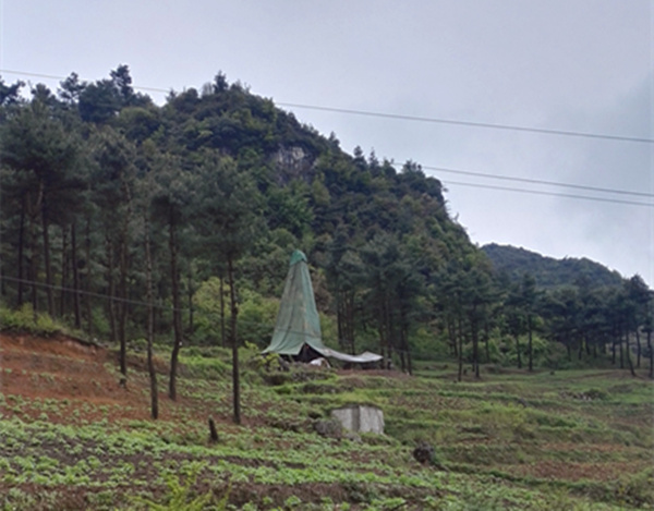 把脈“黔”鋅地，問診開良方