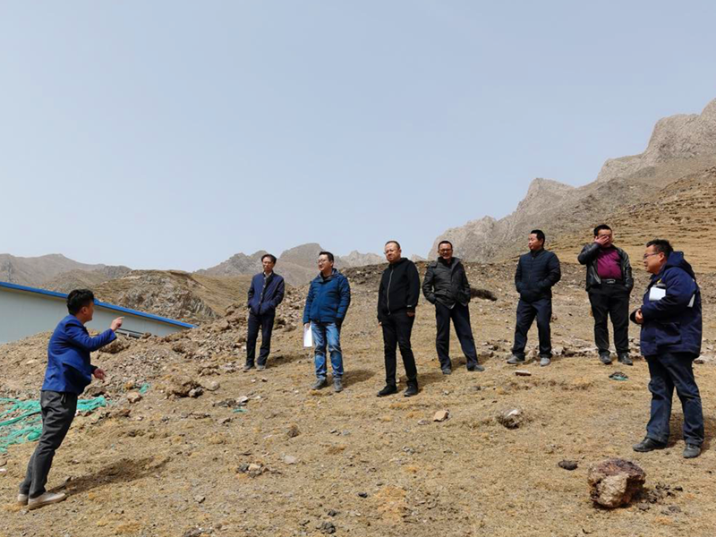 青海省自然資源部門對興海銅鑫瑪溫根礦區綠色勘查生態環境保護治理實地驗收