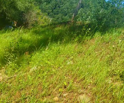 柳關欒盧鉛鋅礦|治理排土“瘡疤”，繪就綠色畫卷